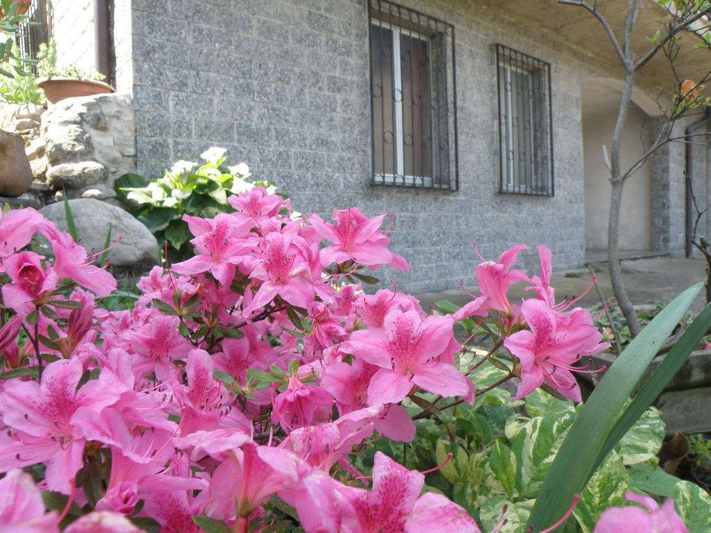 B&B Villa Mirella Casnate Con Bernate Zewnętrze zdjęcie